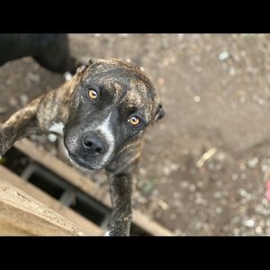 Meet your Posher, Briana